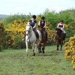 Equestrian-Horse-Riding-in-Boyle